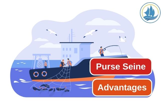 5 Advantages and Versatility of Purse Seine as a Fishing Gear